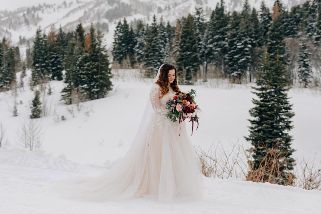 Winter Mountain Bridals